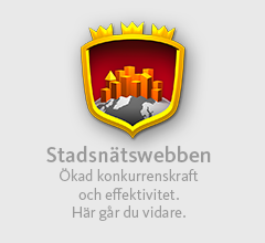 snwfoot