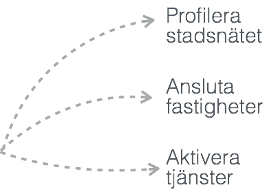 fokus